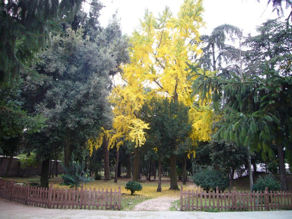 Villa Altieri Albano Laziale Exterior foto