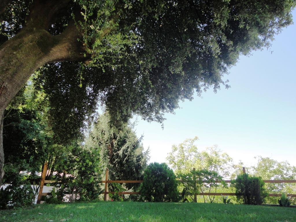 Villa Altieri Albano Laziale Exterior foto